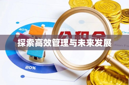 罗甸探索高效管理与未来发展