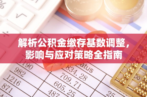 罗甸解析公积金缴存基数调整，影响与应对策略全指南