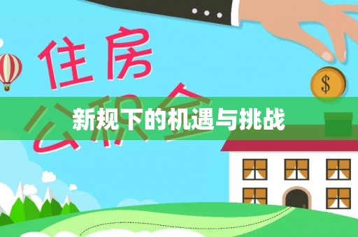 罗甸新规下的机遇与挑战