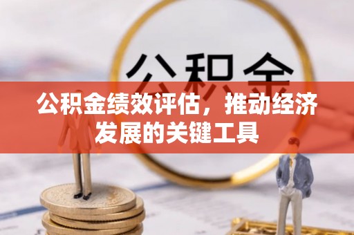 罗甸公积金绩效评估，推动经济发展的关键工具