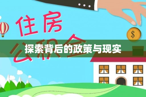 罗甸探索背后的政策与现实