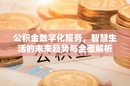 罗甸公积金数字化服务，智慧生活的未来趋势与全面解析