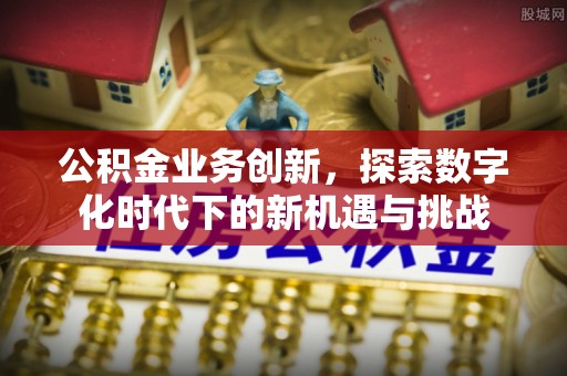 罗甸公积金业务创新，探索数字化时代下的新机遇与挑战