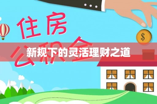 罗甸新规下的灵活理财之道