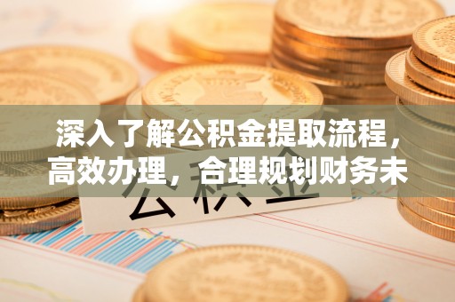 罗甸深入了解公积金提取流程，高效办理，合理规划财务未来