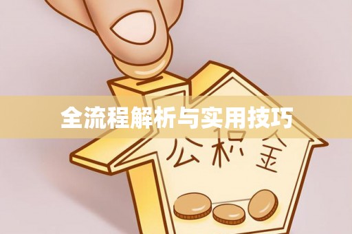 罗甸全流程解析与实用技巧