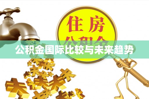 罗甸公积金国际比较与未来趋势