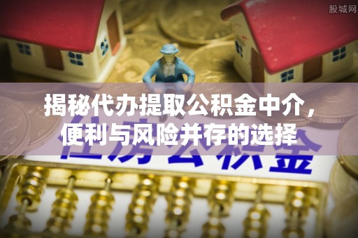 罗甸揭秘代办提取公积金中介，便利与风险并存的选择