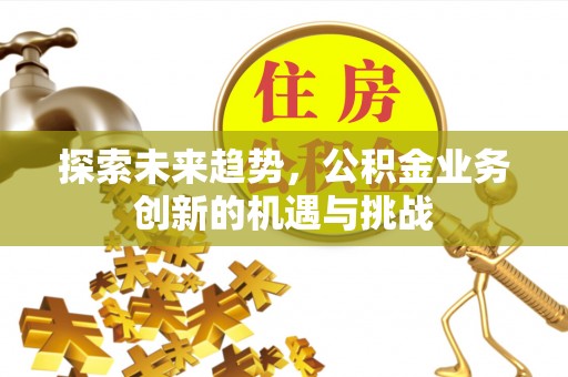 罗甸探索未来趋势，公积金业务创新的机遇与挑战