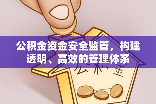 罗甸公积金资金安全监管，构建透明、高效的管理体系