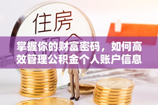 罗甸掌握你的财富密码，如何高效管理公积金个人账户信息