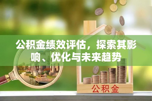 罗甸公积金绩效评估，探索其影响、优化与未来趋势