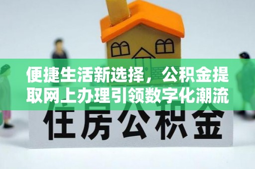 罗甸便捷生活新选择，公积金提取网上办理引领数字化潮流