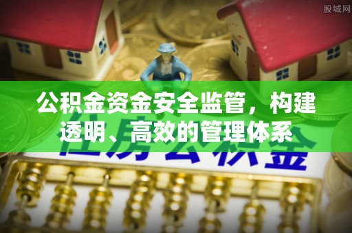 罗甸公积金资金安全监管，构建透明、高效的管理体系