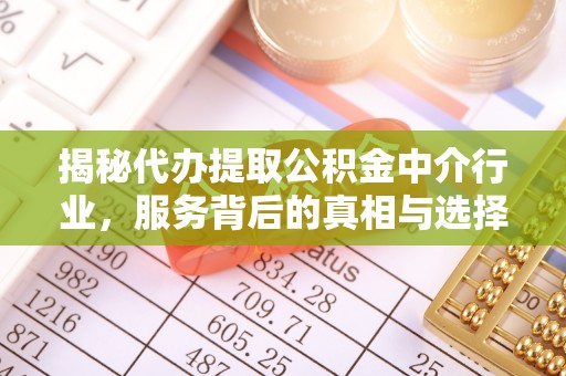 罗甸揭秘代办提取公积金中介行业，服务背后的真相与选择指南