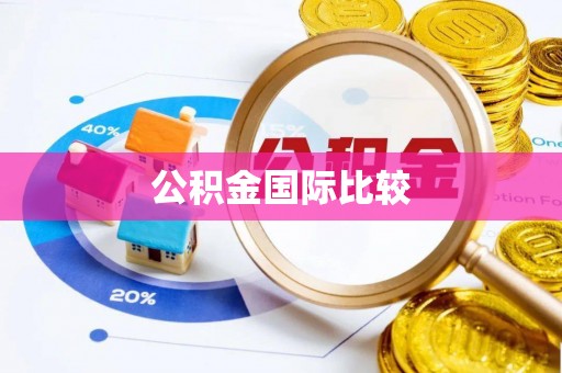罗甸公积金国际比较