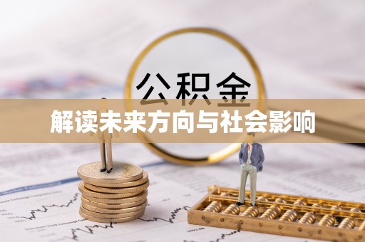 罗甸解读未来方向与社会影响
