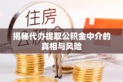 罗甸揭秘代办提取公积金中介的真相与风险