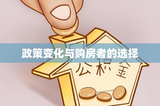 罗甸政策变化与购房者的选择
