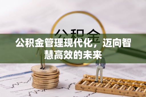 罗甸公积金管理现代化，迈向智慧高效的未来