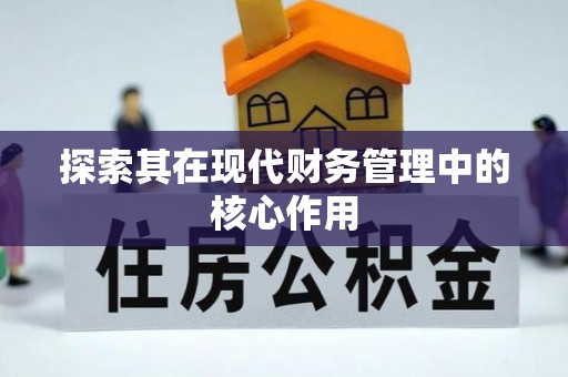 罗甸探索其在现代财务管理中的核心作用