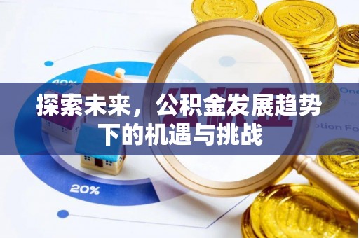 罗甸探索未来，公积金发展趋势下的机遇与挑战