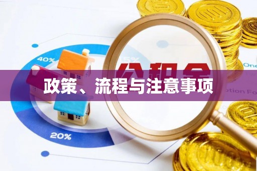 罗甸政策、流程与注意事项