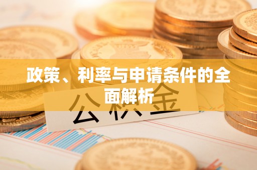 罗甸政策、利率与申请条件的全面解析
