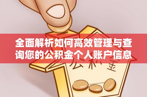 罗甸全面解析如何高效管理与查询您的公积金个人账户信息