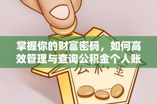 罗甸掌握你的财富密码，如何高效管理与查询公积金个人账户信息