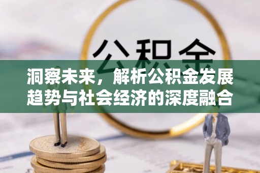 罗甸洞察未来，解析公积金发展趋势与社会经济的深度融合
