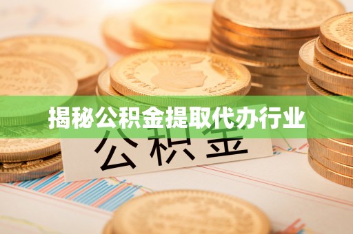 罗甸揭秘公积金提取代办行业