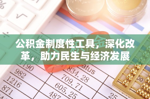 罗甸公积金制度性工具，深化改革，助力民生与经济发展