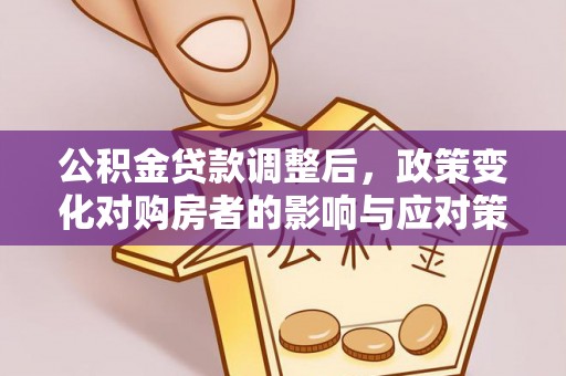 罗甸公积金贷款调整后，政策变化对购房者的影响与应对策略