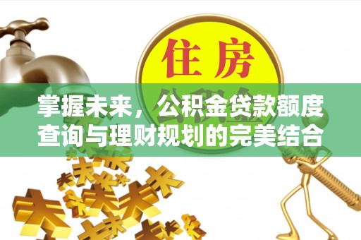 罗甸掌握未来，公积金贷款额度查询与理财规划的完美结合