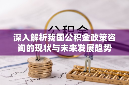 罗甸深入解析我国公积金政策咨询的现状与未来发展趋势