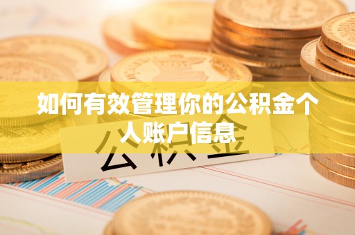 罗甸如何有效管理你的公积金个人账户信息