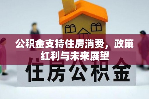 罗甸公积金支持住房消费，政策红利与未来展望