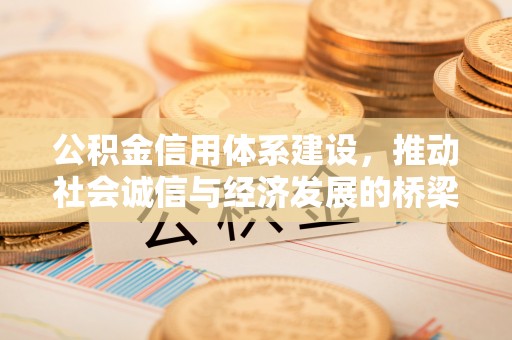 罗甸公积金信用体系建设，推动社会诚信与经济发展的桥梁