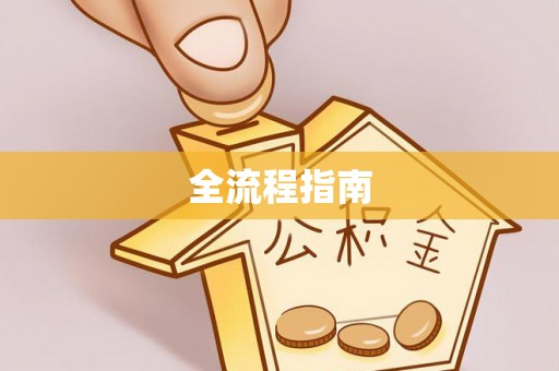 罗甸全流程指南