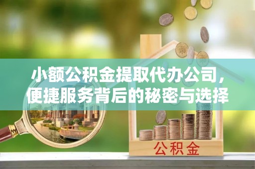 罗甸小额公积金提取代办公司，便捷服务背后的秘密与选择指南