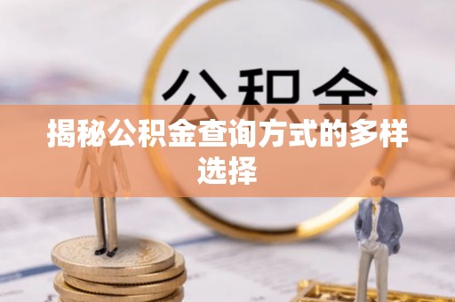 罗甸揭秘公积金查询方式的多样选择