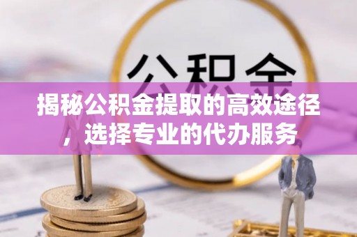罗甸揭秘公积金提取的高效途径，选择专业的代办服务