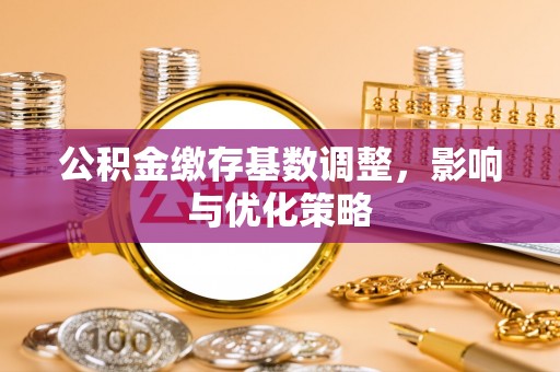 罗甸公积金缴存基数调整，影响与优化策略