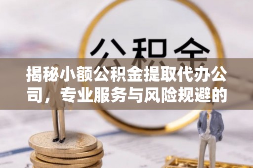 罗甸揭秘小额公积金提取代办公司，专业服务与风险规避的平衡艺术