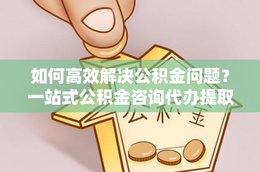 罗甸如何高效解决公积金问题？一站式公积金咨询代办提取服务全解析