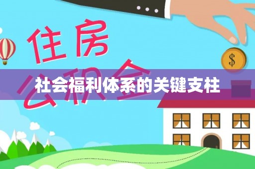 罗甸社会福利体系的关键支柱