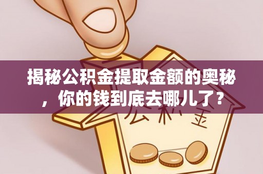 罗甸揭秘公积金提取金额的奥秘，你的钱到底去哪儿了？