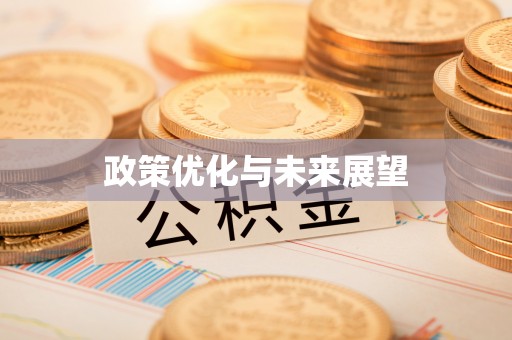罗甸政策优化与未来展望