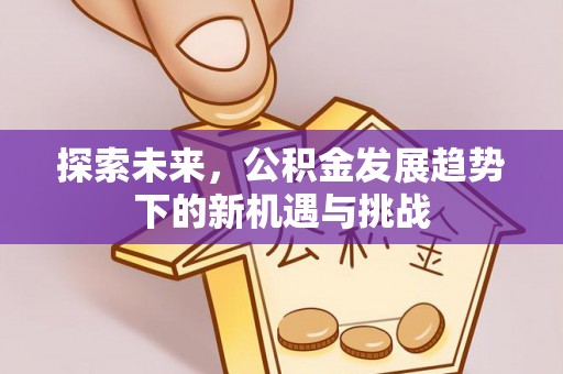 罗甸探索未来，公积金发展趋势下的新机遇与挑战
